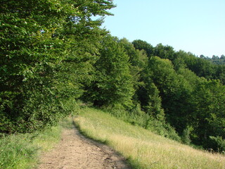 Obraz premium Landscape of the road at the top of the ridge leading into a dense mountain forest under the hot sun.