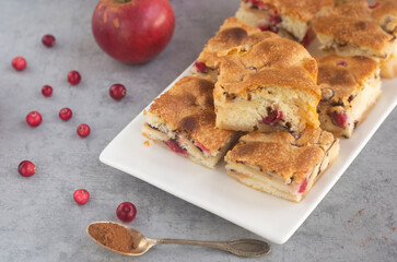 Apple sponge cake with cranberries and cinnamon, square pieces, horizontal