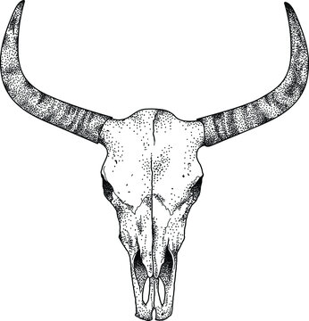 Bull Line Art Skull Print Cow Skull Abstract Western Wall - Etsy