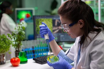 Biologist scientist doctor dropping liquid in petri dish with fungi colony using medical...