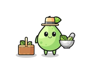 guava herbalist cute cartoon