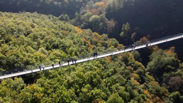 Video from a drone flying over a suspended wooden bridge with steel ropes over a dense forest in West Germany, visible tourists walking on the bridge.