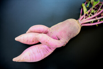 An interesting misshapen radish with a black background.