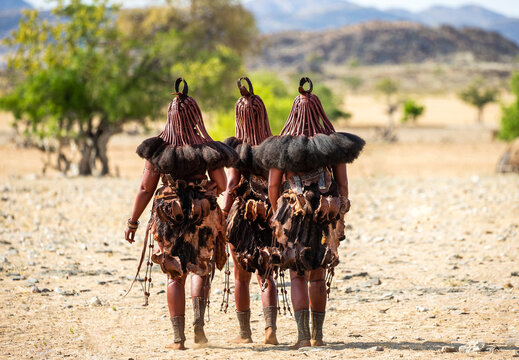 Group of women of the Himba tribe are walking through the desert in national clothes.