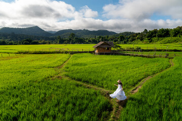 The Female traveler in white dress dance on rice field and bamboo house, landmark of Chaingmai, Thailand 