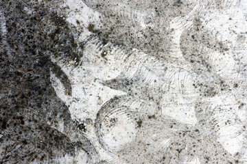 stone wall texture