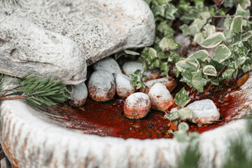 Landscaping. A park with shrubs, thujas and green lawns.