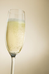 Champagne glass