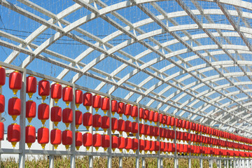 On the tarmac of the Chinese countryside, a frame walkway is set up, decorated with red lanterns, Chinese elements
