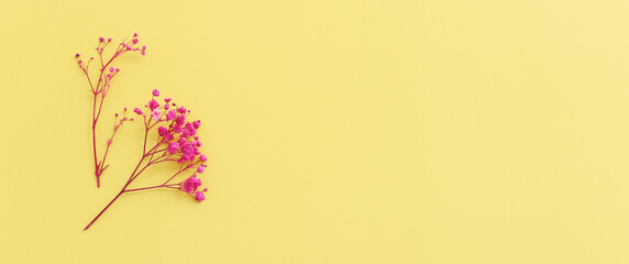 Top view image of pink and purple flowers composition over pastel yellow background .Flat lay