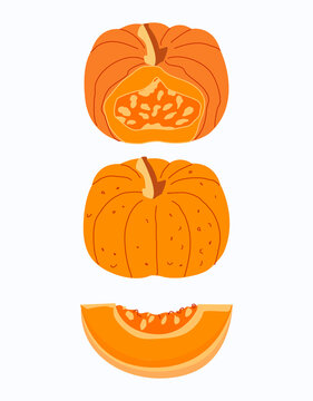 set of pumpkin pumpkins vector Halloween yellow-orange pumpkins slice piece isolate draw 