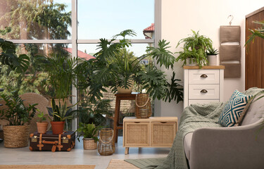 Stylish living room with beautiful plants. Interior design