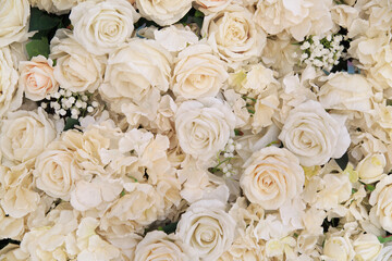 Obraz na płótnie Canvas Floral background from delicate roses.