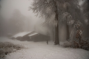 A wooden house and snowy trees in the foggy forest in winter.