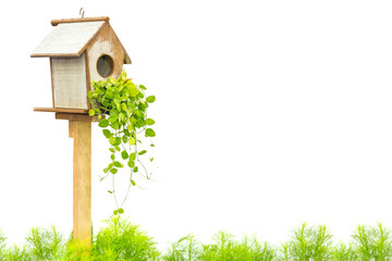 tree bird house