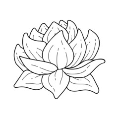 Lotus flower line art. Beautiful contour sketch of an exotic plant bud. Hand drawn vector illustration. Floral element for logo design.