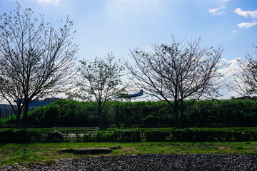 調布飛行場（東京都調布市）