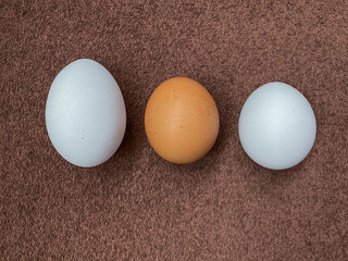 White and brown eggs on the table
