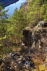 Rocks of white gypsum in the pine forest of the Ural region near the Ermak stone