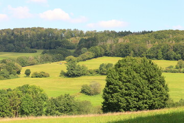 Landschaft im Kn&uuml;llgebirge