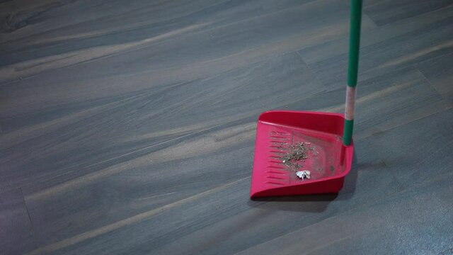 sweeping the house floor with the broom and dustpan collecting house dust