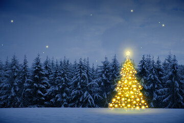 Christmas tree in winter forest and stars sky. Christmas Card.