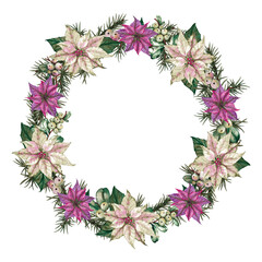 Christmas decorative wreath of poinsettia white and pink flowers, green leaves, fir tree branches and snowberries. Round frame. Watercolor hand painted isolated element on white background.