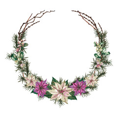 Christmas decorative wreath of poinsettia white and pink flowers, green leaves, fir tree branches, dried twigs and snowberries. Watercolor hand painted isolated element on white background.