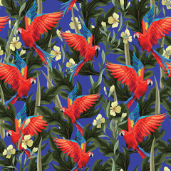 Guacamayas