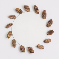 Winter creative arrangement made of pinecones on bright background. Flat lay. Winter concept.