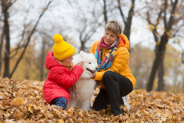 Fototapeta premium grandmother and child granddaughter walk with a dog in the autumn park 