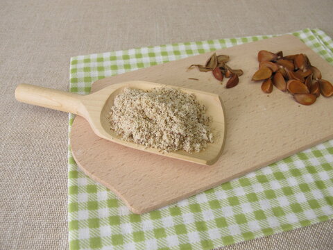 Homemade beechnuts flour, ground beechwoods on a wooden spoon