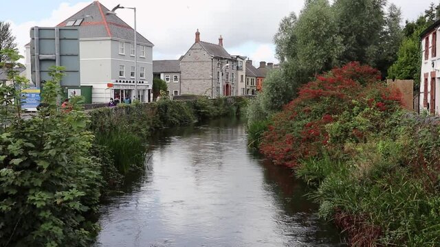 Galway &ndash; Gabbiani sul Canale di Eglinton