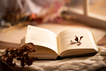 open book, reading a book by the window