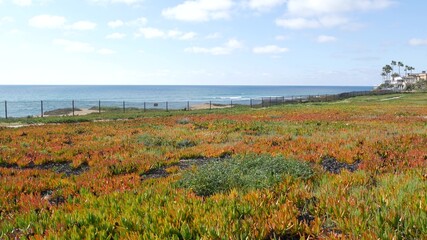Seascape vista point, viewpoint in Carlsbad, California coast USA. Frome above panoramic ocean...