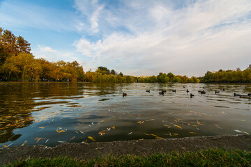Obraz na płótnie Canvas The lake in the colors of autumn