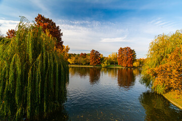 Fototapeta premium Autumn on the shore of the lake with trees