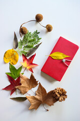 Autumn leaves on a white background. autumn leaves and blanket on a white background. autumn leaves and cones on a woody table. Maple leaves. autumn leaves
