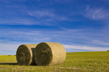 bales of straw on a field against a blue sky with clouds