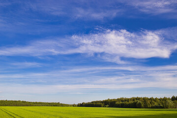 panorama of farmland field against blue sky with clouds