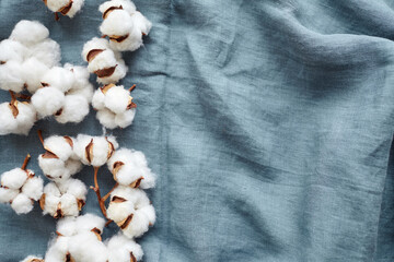 White cotton flowers on blue fabric top view