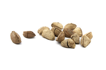 Brazil nuts or Bertholletia excelsa seeds isolated on white