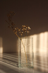 wet vase close up. glass vase with water drops on it. glass vase and flower on the table. wet vase on a white background. vase and flower on the table