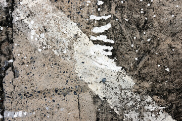 tracks in snow
