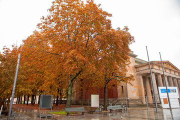 Germany, Berlin, street under the Linden tree, autumn, maple trees