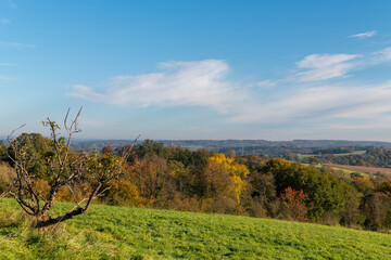 Fototapeta na wymiar Herbstliche Wälder und Alleen am Hanfbachtal
