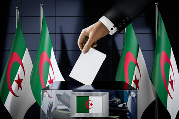 Algeria flags, hand dropping ballot card into a box - voting, election concept - 3D illustration