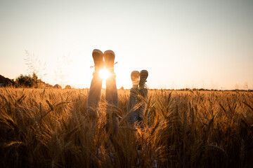 Couple's legs over grain field and sky © oksix