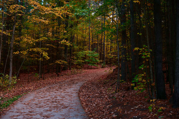 Walking trail in Ontario Simcoe County with leafs on the ground