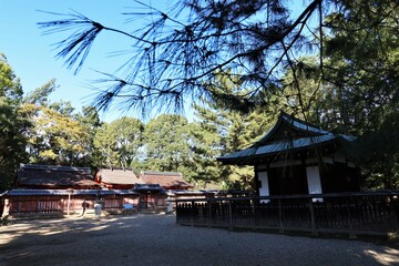 Temples and shrines in Kyoto in Japan 日本の京都にある神社仏閣 : Kusho-myojin Guardian Shrine in the precincts of Ninna-ji Temple 仁和寺の境内にある守護社の九所明神